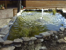 A picture of the pond leading to the office