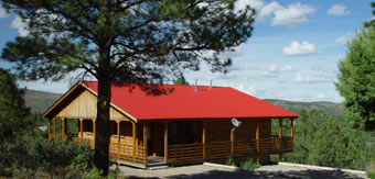 A picture of the duplex cabin from outside